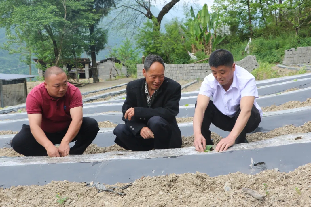 岚皋:文明实践起 坚冰变水滴—岚皋县新时代文明实践助推乡村治理